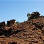 Mutawintji (Mootwingee) National Park