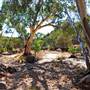 Mutawintji (Mootwingee) National Park