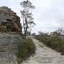 The Lost City