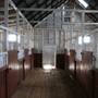 Saumarez Homestead - Armidale