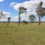 Saumarez Homestead - Armidale