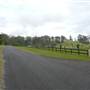 Lomar Park Stud