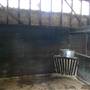 Lomar Park Stud