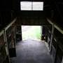 Lomar Park Stud