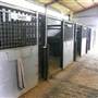 Lomar Park Stud