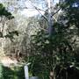 Macquarie Pass National Park