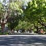 Marrickville Neighbourhood