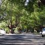 Marrickville Neighbourhood