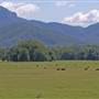 Murwillumbah