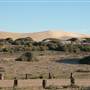 Mungo National Park