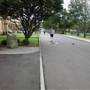 Newington College