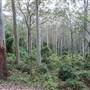 Murramarang National Park