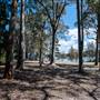Murramarang National Park