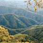 New England National Park