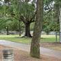 Newtown