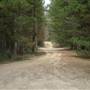 Newnes State Forest