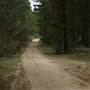 Newnes State Forest