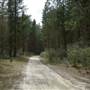 Newnes State Forest