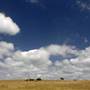 Menangle Area