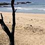 Middle Beach - Mimosa Rocks National Park