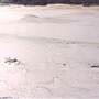 Milkengay Lake Sand Dunes
