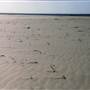 Milkengay Lake Sand Dunes