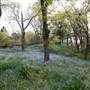 Milton Park Country House Hotel & Spa
