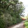 Milton Park Country House Hotel & Spa