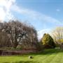 Milton Park Country House Hotel & Spa