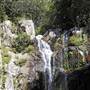 Minnamurra Falls