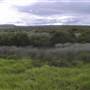 Minnamurra River