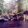 Minyon Falls - Nightcap National Park