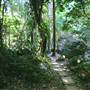 Mount Keira Scout Camp File 1