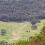 Mt Blackheath Lookout