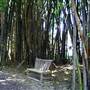 Private House - Port Macquarie