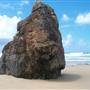 Queens Head - Limeburners Creek National Park