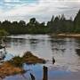 Navua Reserve - Grose River