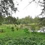 Navua Reserve - Grose River