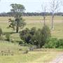 Riverstone Farmland & Eastern Creek