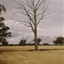 Paddys Creek Rd, Dubbo