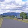 Rural Roads - Narrabri Area