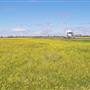 Rural Roads - Narrabri Area