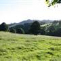 Rolling Hills - Southern Highlands