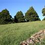 Rolling Hills - Southern Highlands