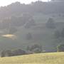 Rolling Hills - Southern Highlands