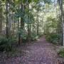 Royal National Park