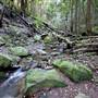 Royal National Park
