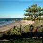 Port Macquarie Area