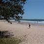 Port Macquarie Area
