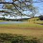 Plantations - Friday Hut Road